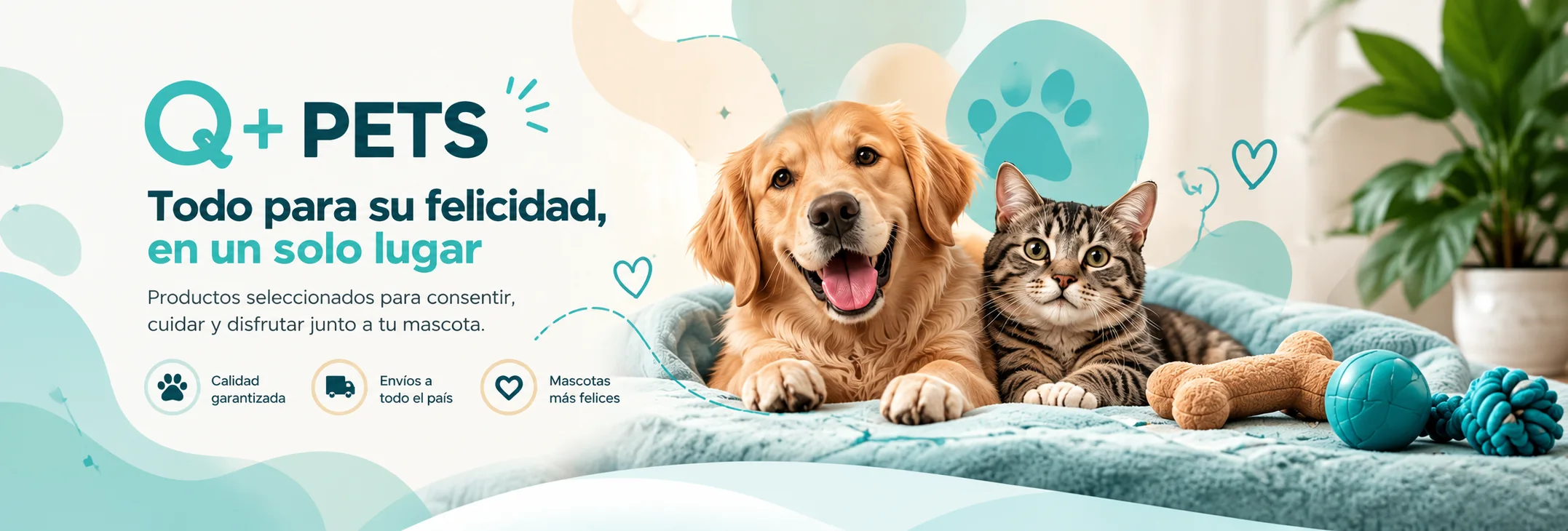 Q+ Pets